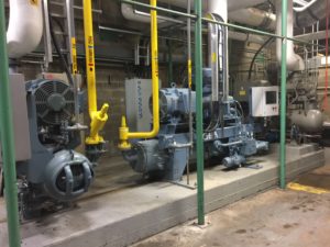 wood processing plant
